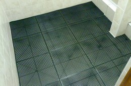 Shower Mat