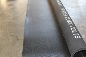 Electric Mat 1
